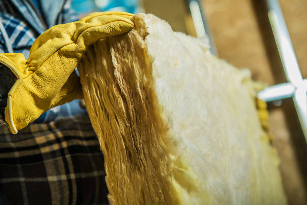 Best Commercial Insulation in Bottineau, ND
