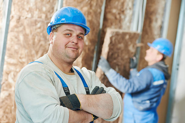Best Geographic-Specific Insulation Services in Bottineau, ND